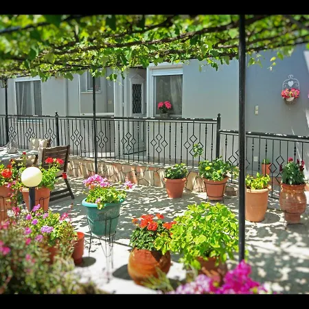 Apartment Noras House